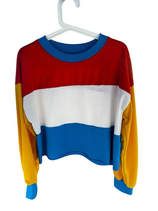 Tops - Primary Color Blocked Striped Long Sleeve Crop Top